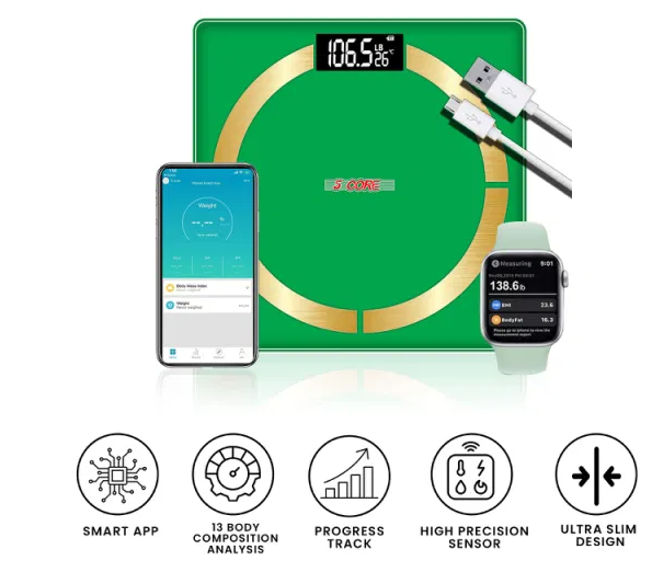 DIGITAL RECHARGEABLE WEIGHING SCALE