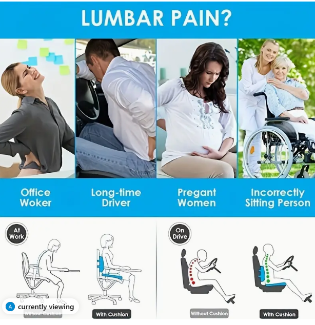 LUMBAR SUPPORT PILLOW WITH COCCYX SEAT CUSHION